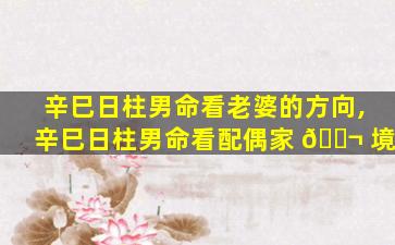 辛巳日柱男命看老婆的方向,辛巳日柱男命看配偶家 🐬 境